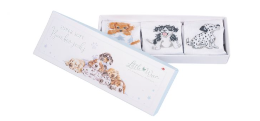 Wrendale Design Bamboo Little Paws Sock Set of 3 Blue Gift Box