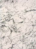 LR Imagine Natural Gray Rug, 5x7