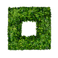 Preserved Boxwood Wreath, Square