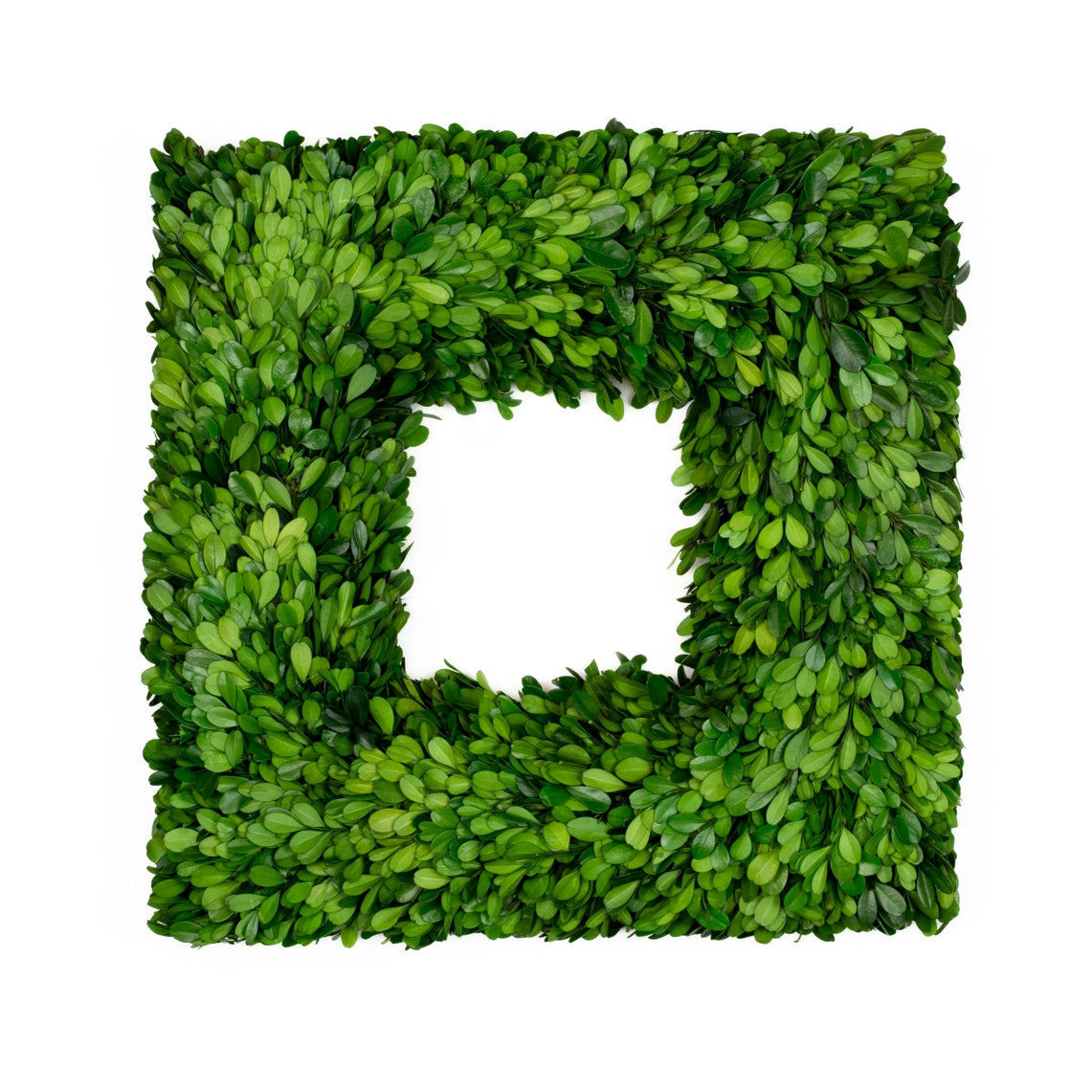 Preserved Boxwood Wreath, Square