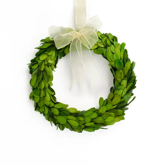 Preserved 8" Boxwood Wreath with ribbon