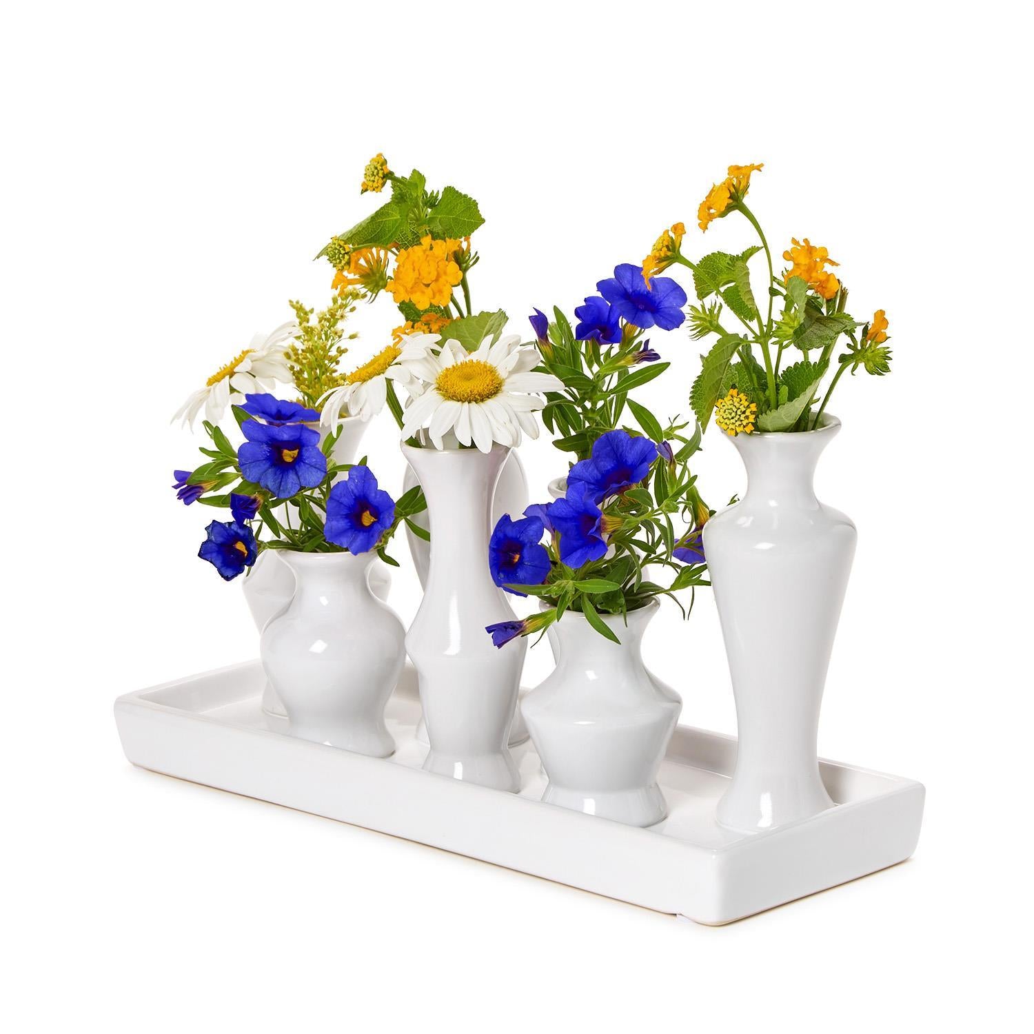 Multi Vase with 7Sections