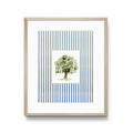 Auburn Toomer's Oak Striped Print, 5X7
