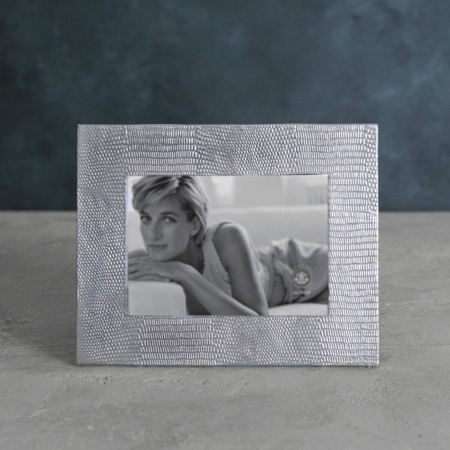 Beatriz Ball Pieles Frame, Snakeskin, 5x7