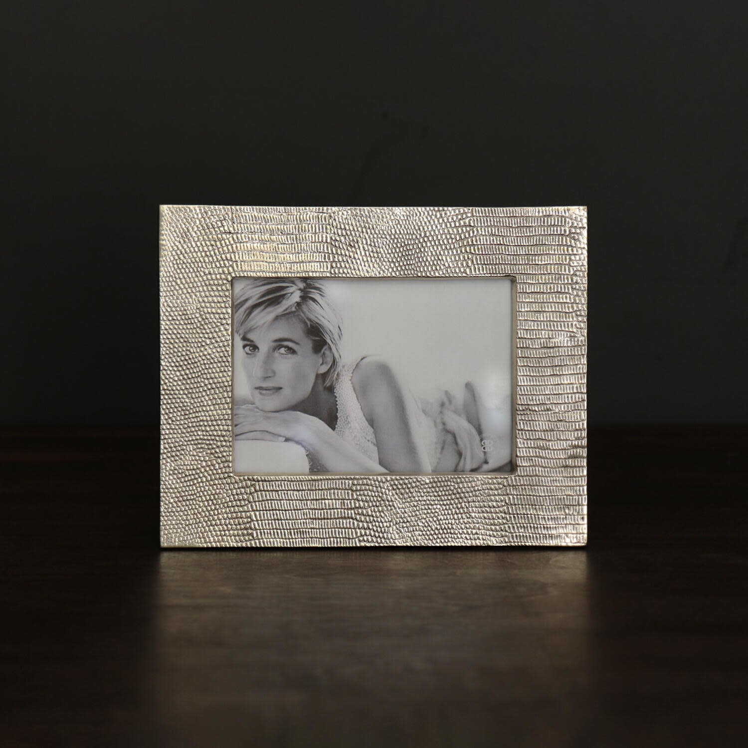 Beatriz Ball Sierra Modern Python Frame, Gold, 5x7
