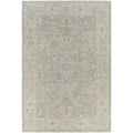 Surya Avant Garde  Polyester Blend Rug, 5'x7'5"