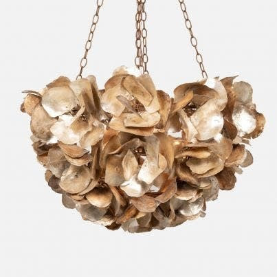 Made Goods Venus Chandelier Natural Saddle Oyster Shell