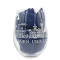 Auburn Skyline DOF Glass