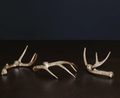Beatriz Ball Western Antler Candlestick Gold Set of 3