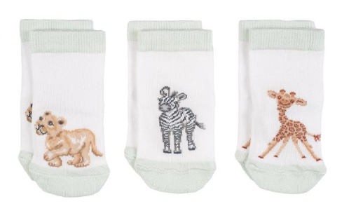 Wrendale Designs Little Savannah Bamboo Sock Set of 3 Green Box