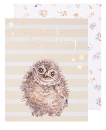 Wrendale Designs You're Expecting  Hoot Hoot Hooray Greeting Card