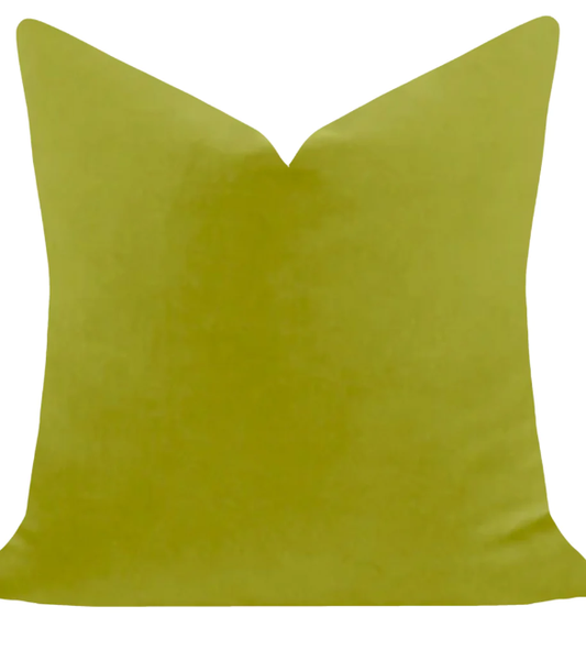Laura Park Green  Solid  Velvet Pillow 22x22