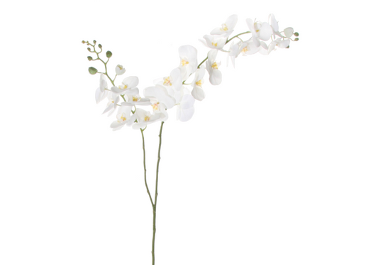 SHISHI Phalaenopsis Flower Stem White/White 34"