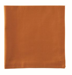 Tableau Burnt Orange Napkins